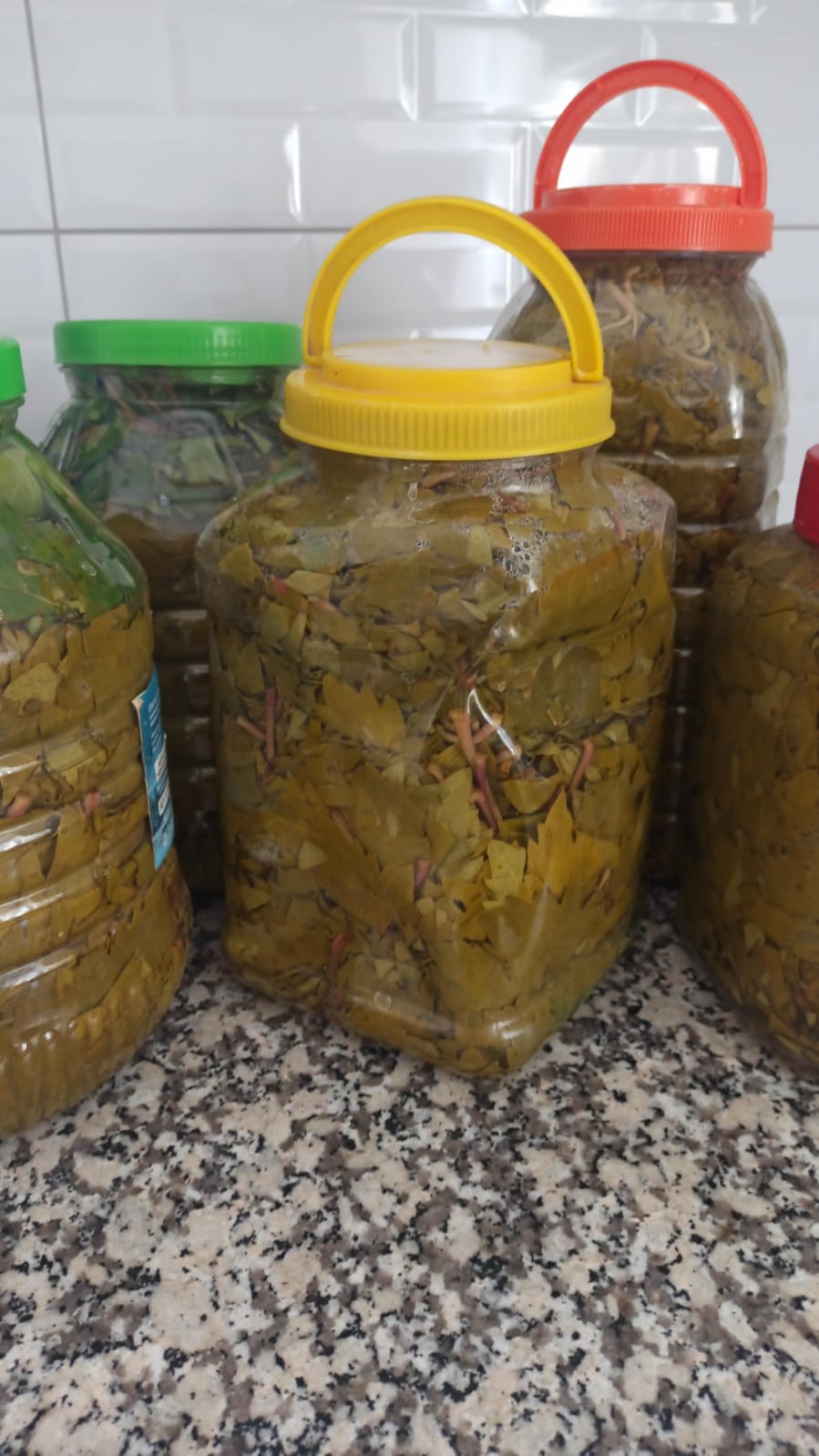 SALAMURA YAPRAK 5KG