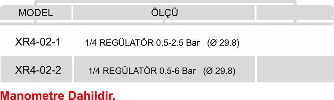 1/4 REGÜLATÖR+MANOMETRE - Dars