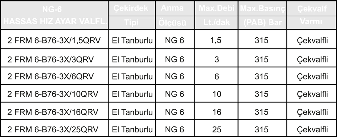 NG 6 EL TANBURLU HASSAS HIZ AYAR VALFİ 3 NG 6 EL TANBURLU HASSAS HIZ AYAR VALFİ - Dars