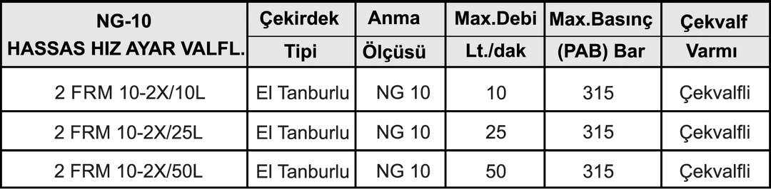 NG 10 EL TANBURLU HASSAS HIZ AYAR VALFİ - Dars