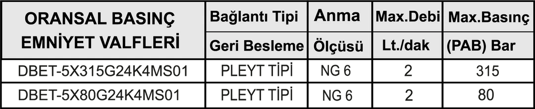 NG 6 ORANSAL BASINÇ EMNİYET VALFİ 3 NG 6 ORANSAL BASINÇ EMNİYET VALFİ - Dars