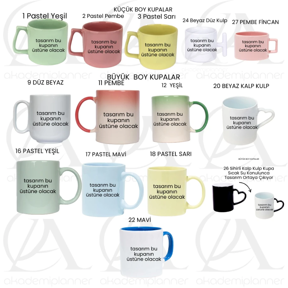 Research Assistant Facts Kupaları