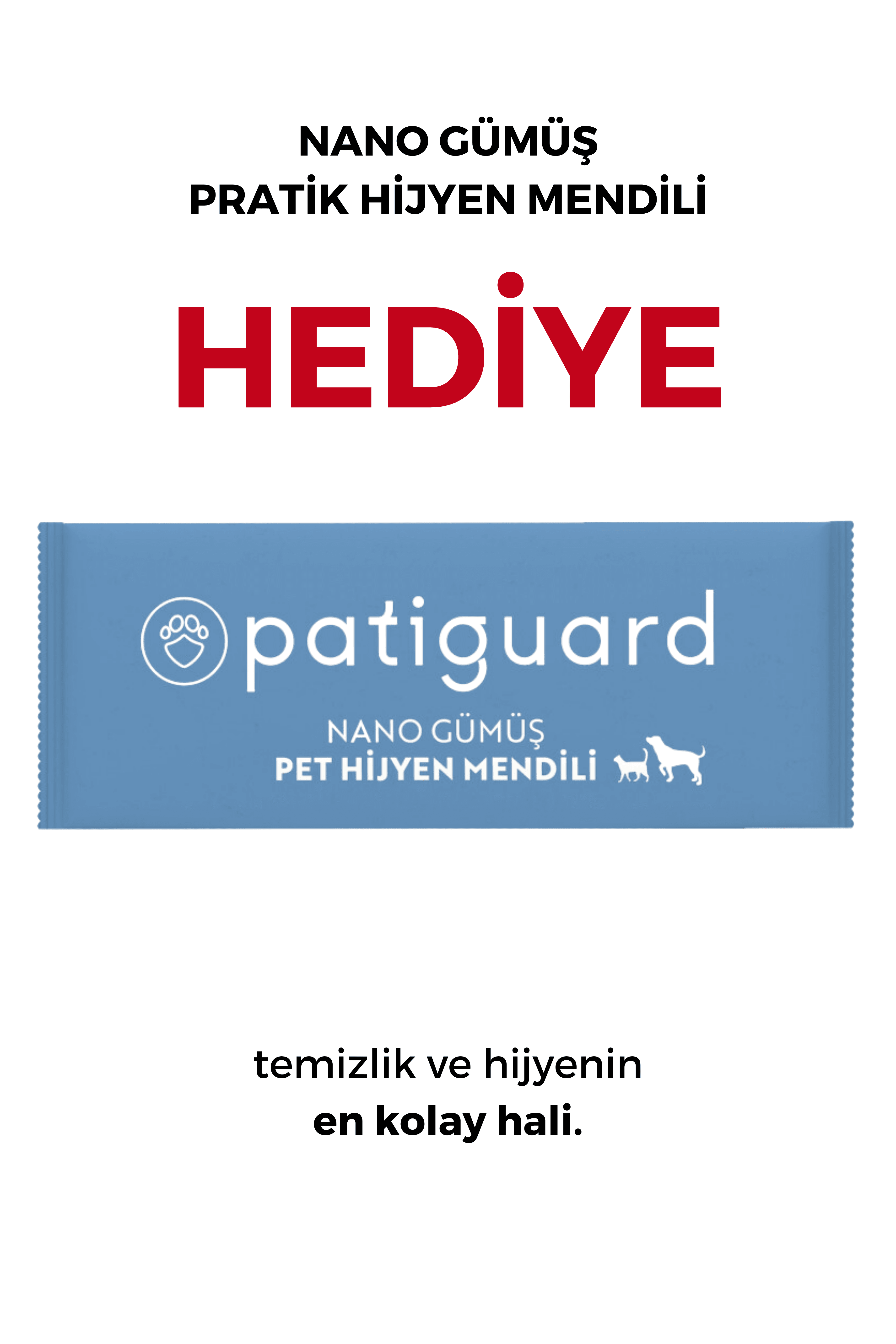 Patiguard Bakım Spreyi 250 ML