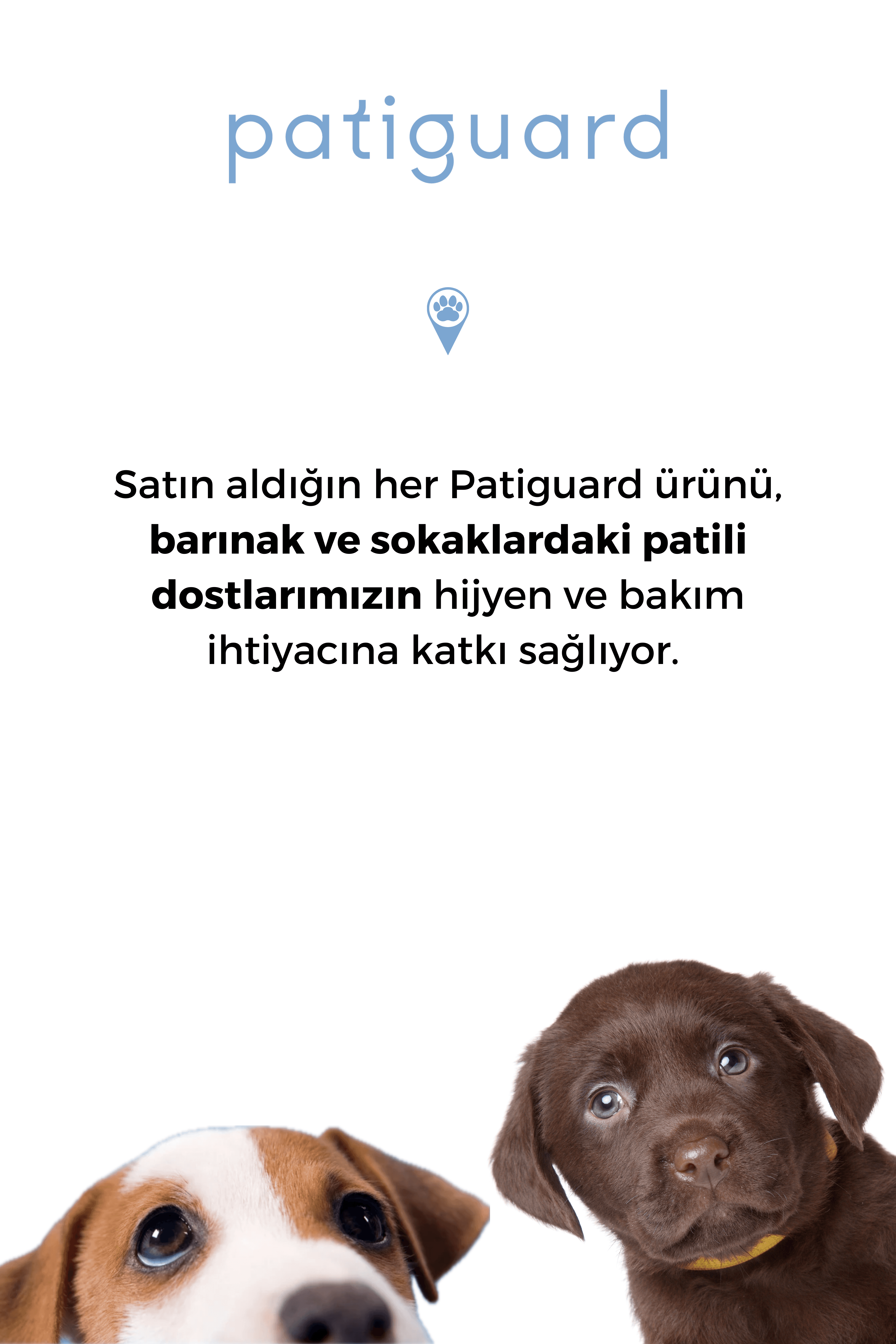 Patiguard Yara Bakım Spreyi 250ML
