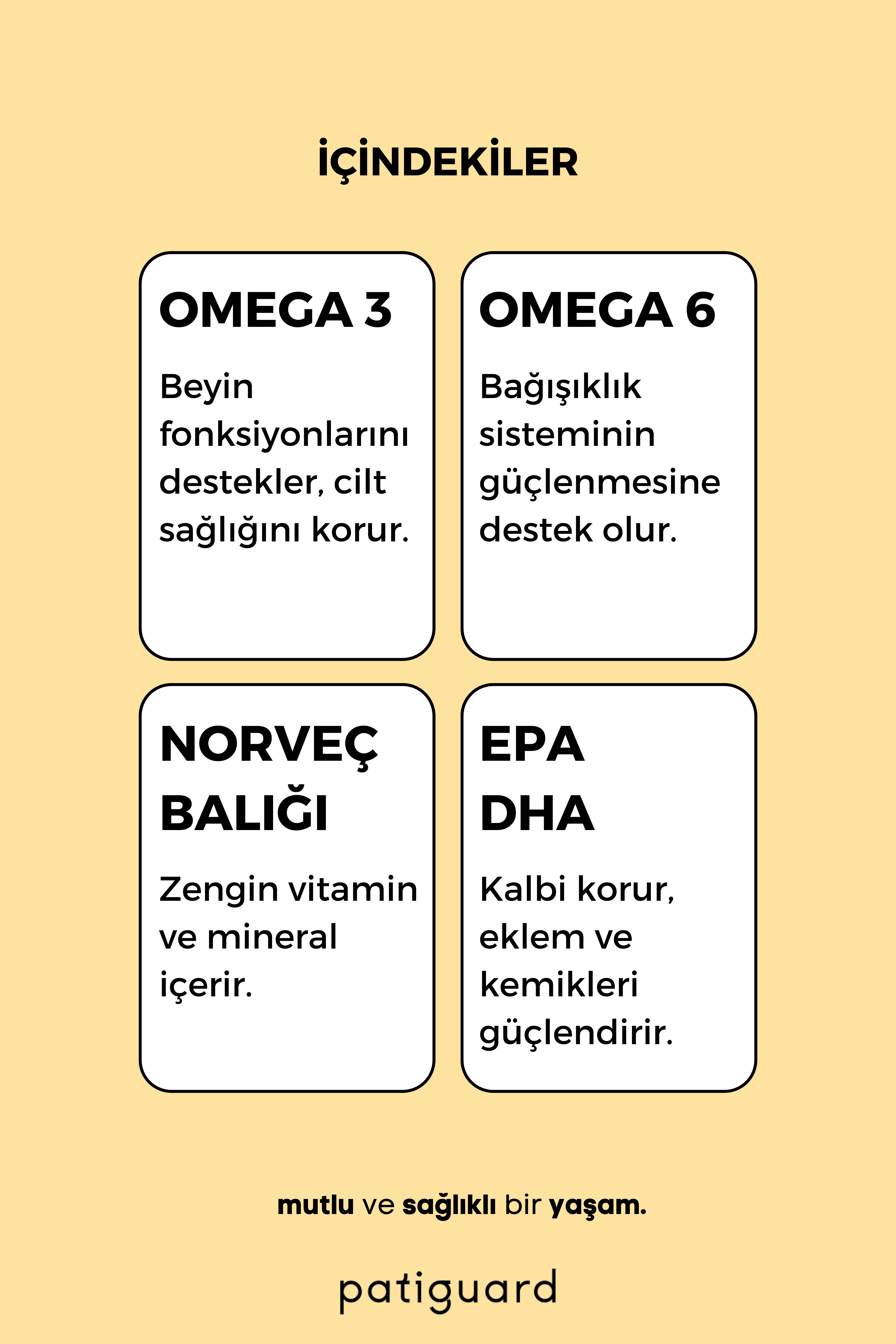 Patiguard Balık Yağı 200ML