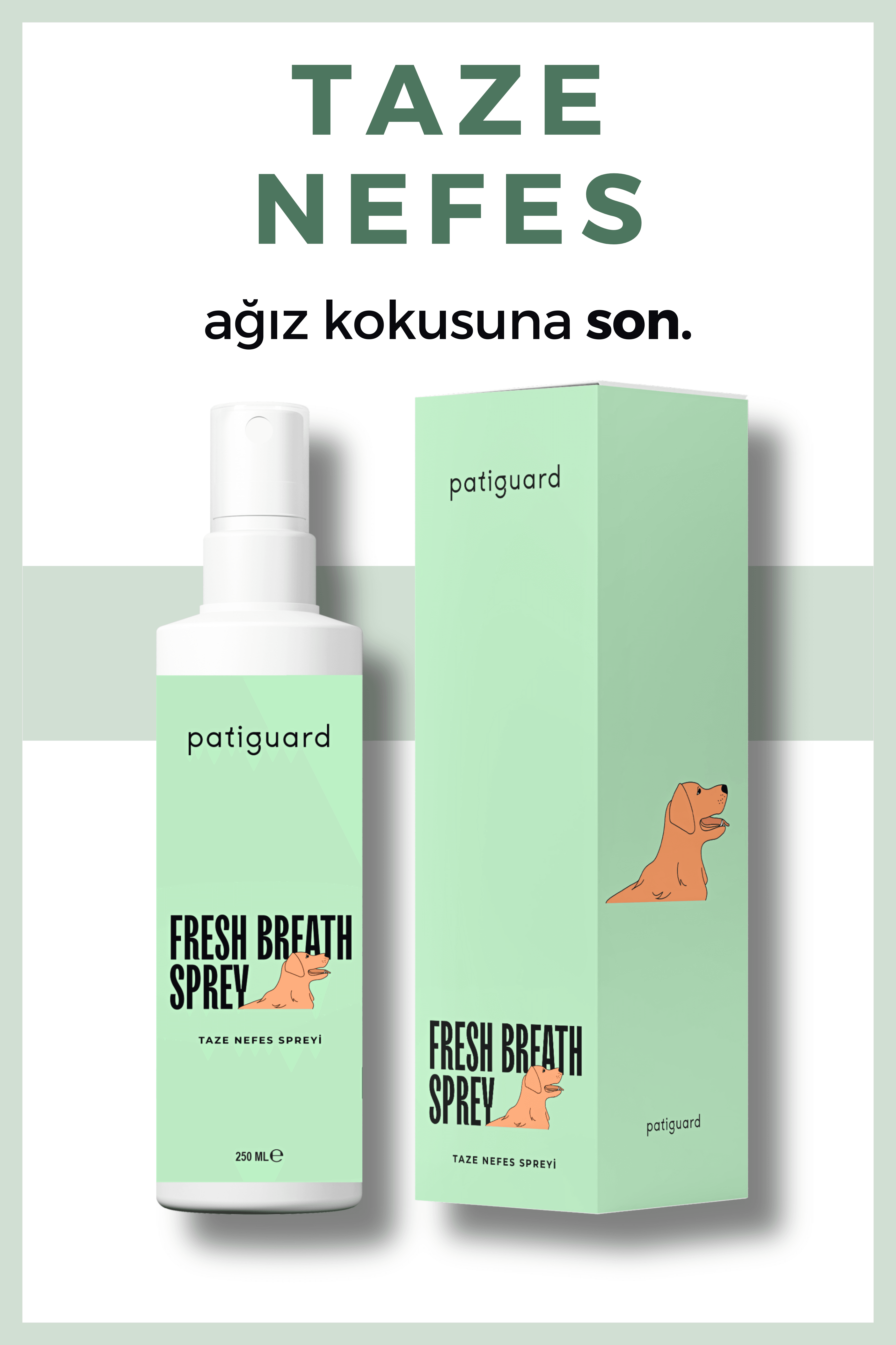 Patiguard Taze Nefes Spreyi 250ML