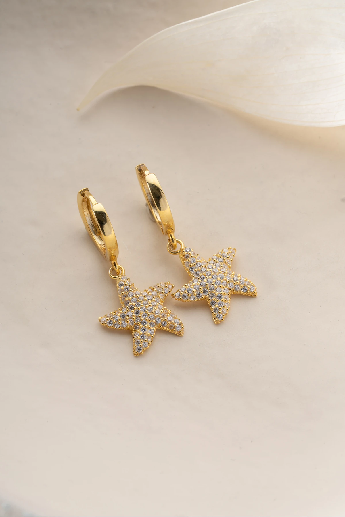 Gümüş Deniz Yıldızı Küpe