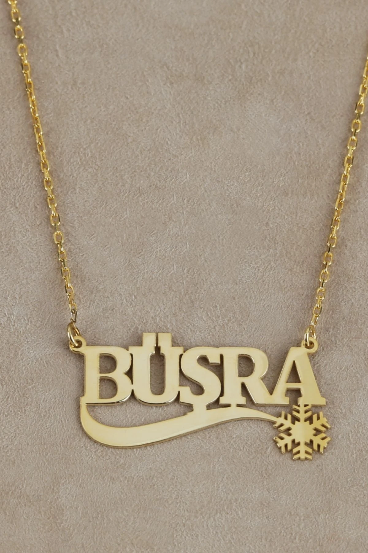 Gümüş Kartanesi Isimli Kolye