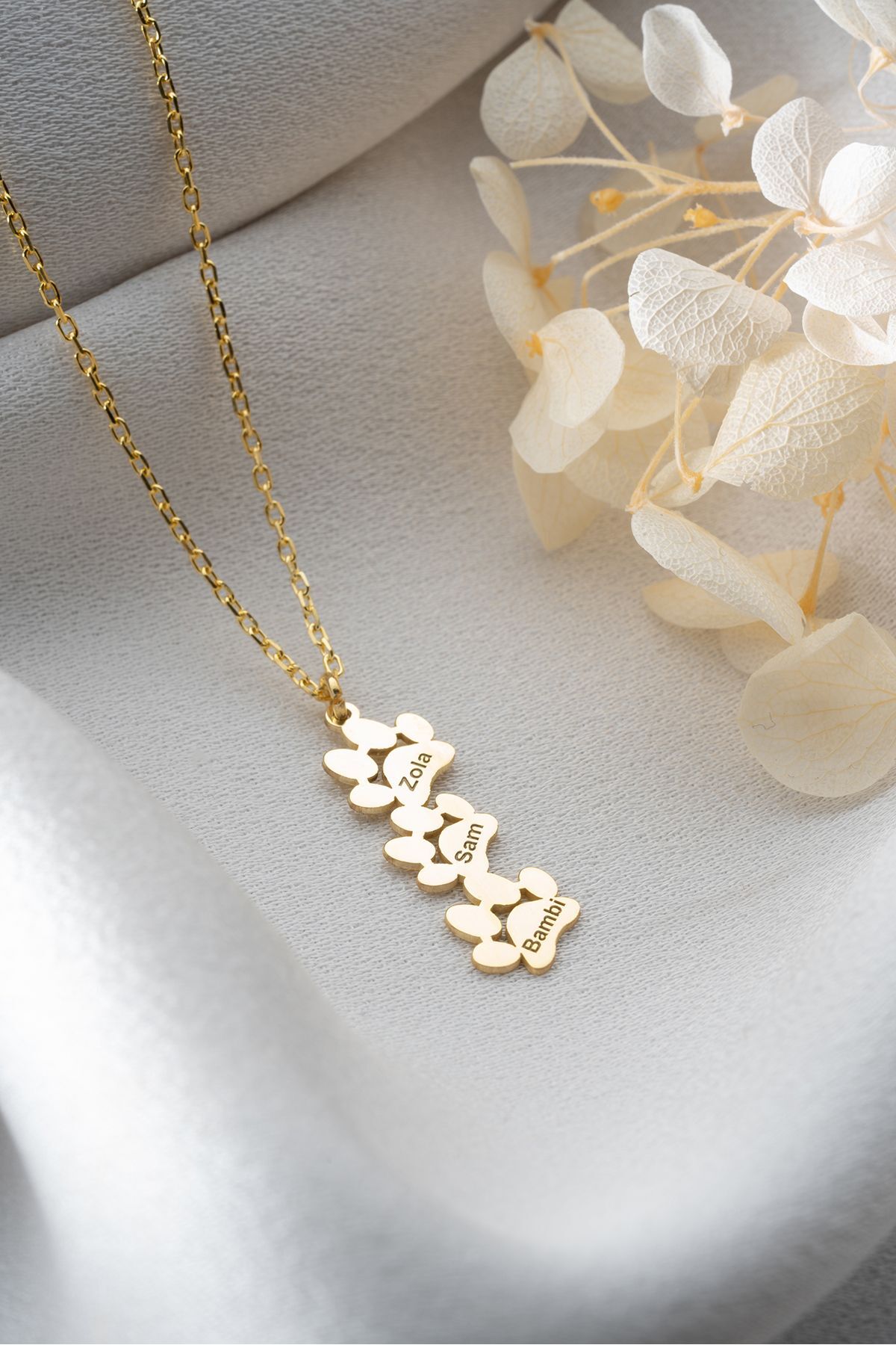 Gümüş Gold İsimli Pati Kolye