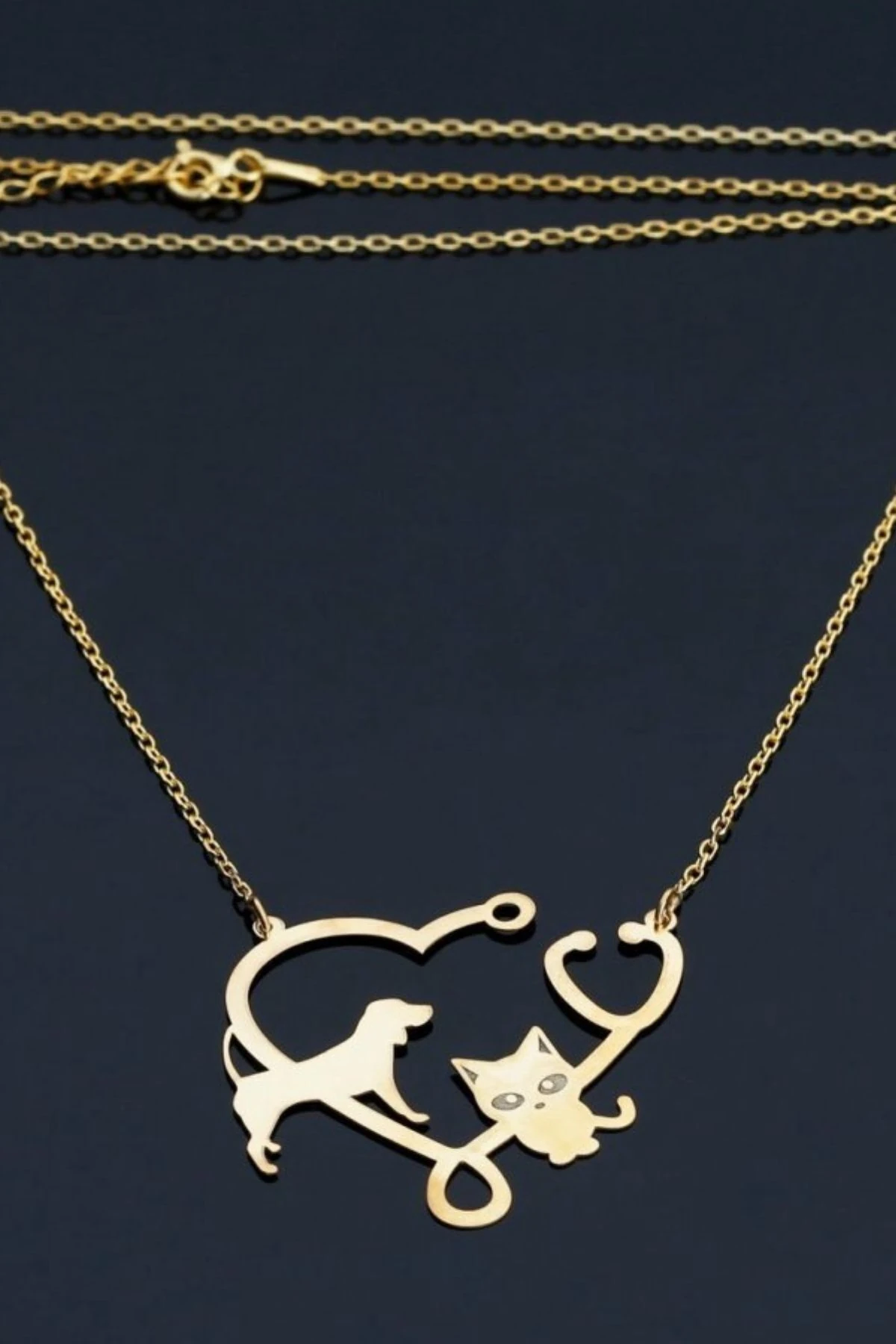 Gümüş Veteriner Kolyesi