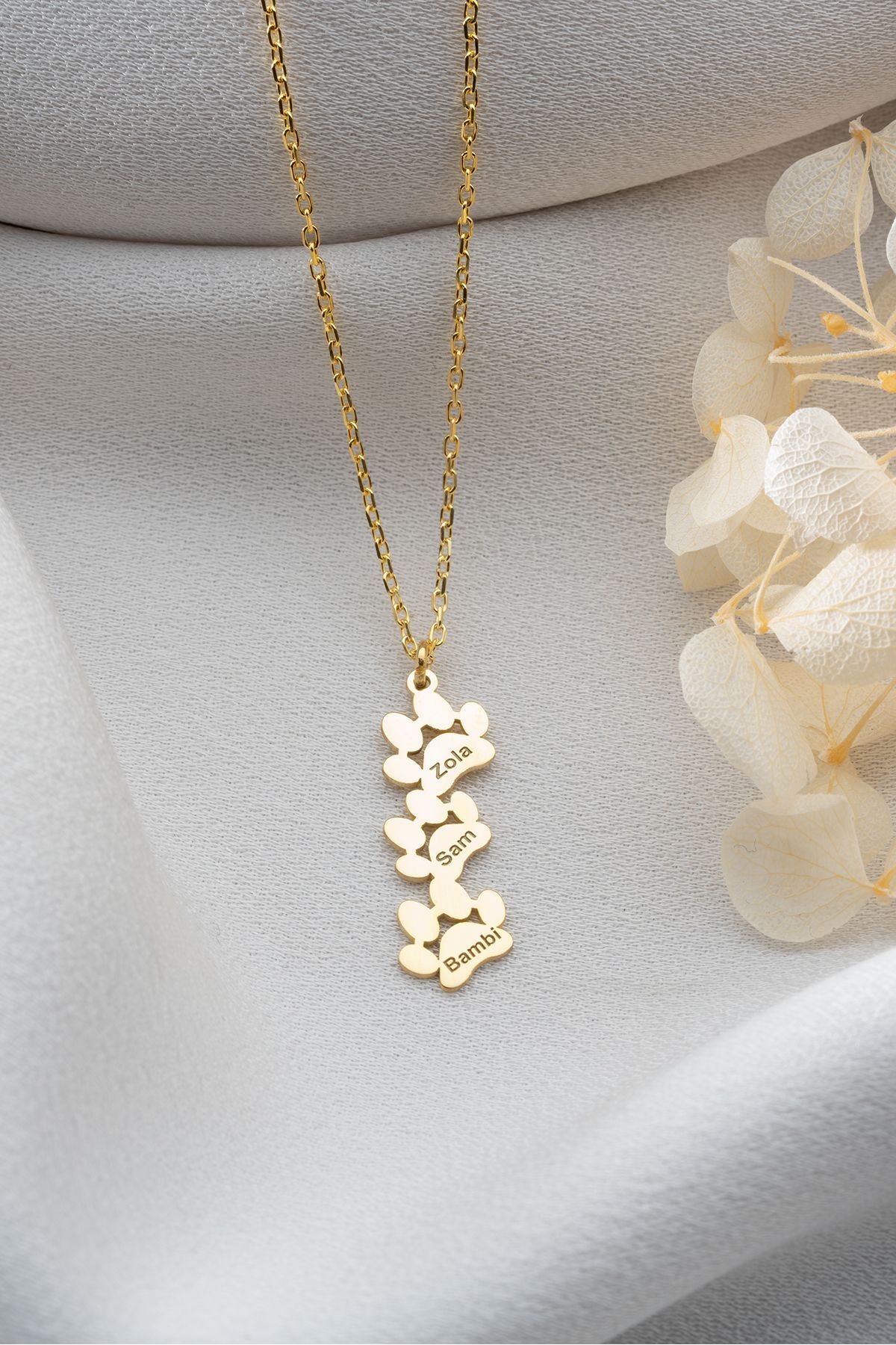 Gümüş Gold İsimli Pati Kolye