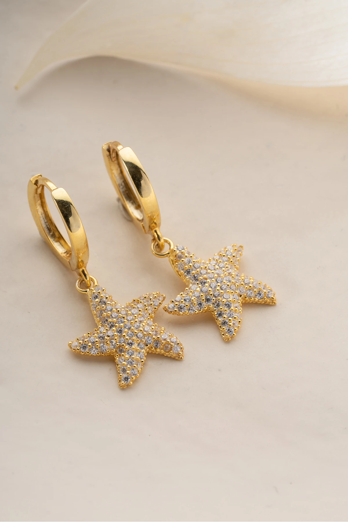 Gümüş Deniz Yıldızı Küpe