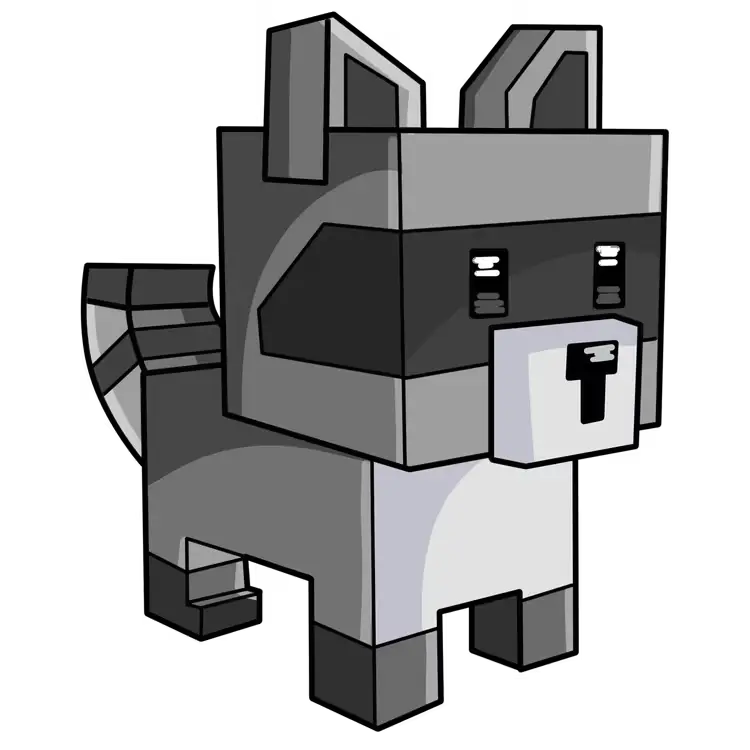 Rakun