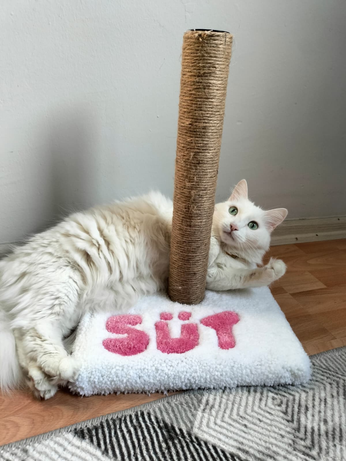 İsimli Pembe Tufting Kedi Tırmalama Tahtası