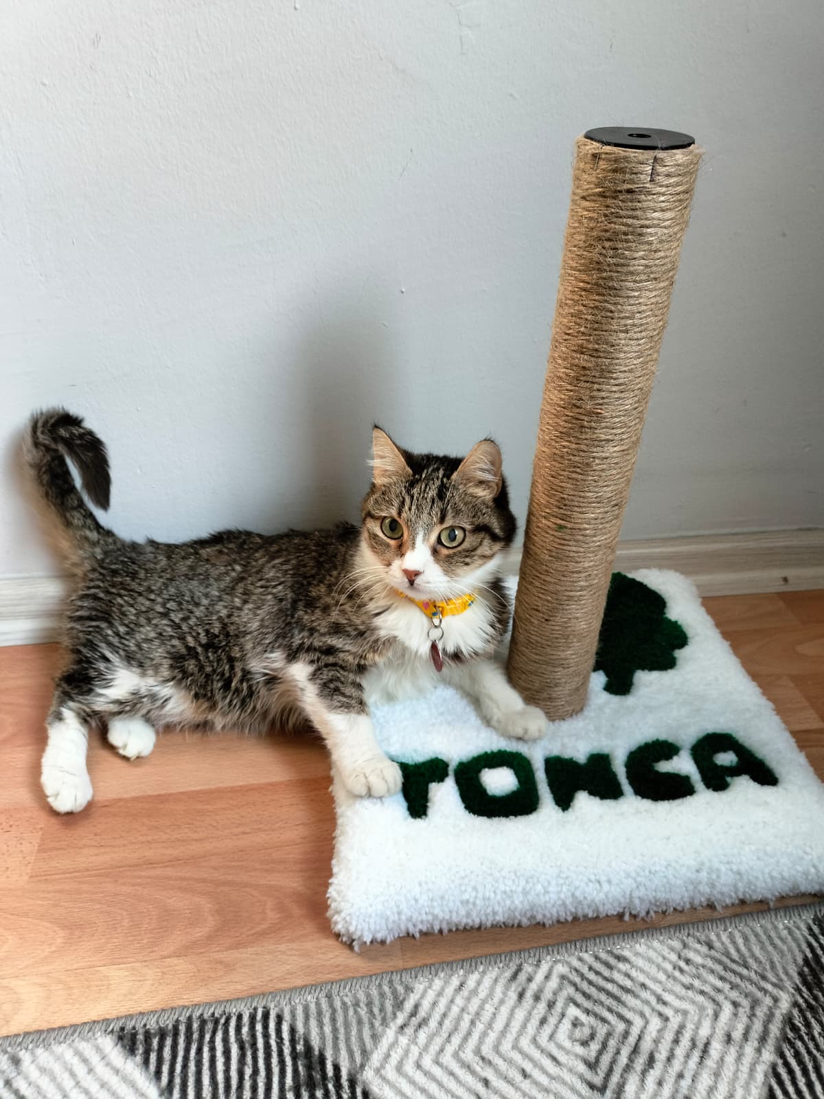 İsimli Yeşil Tufting Kedi Tırmalama Tahtası