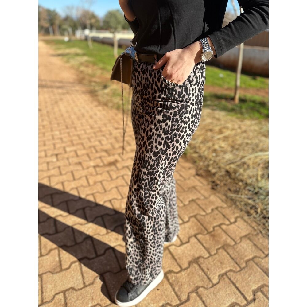 Leopar Jean