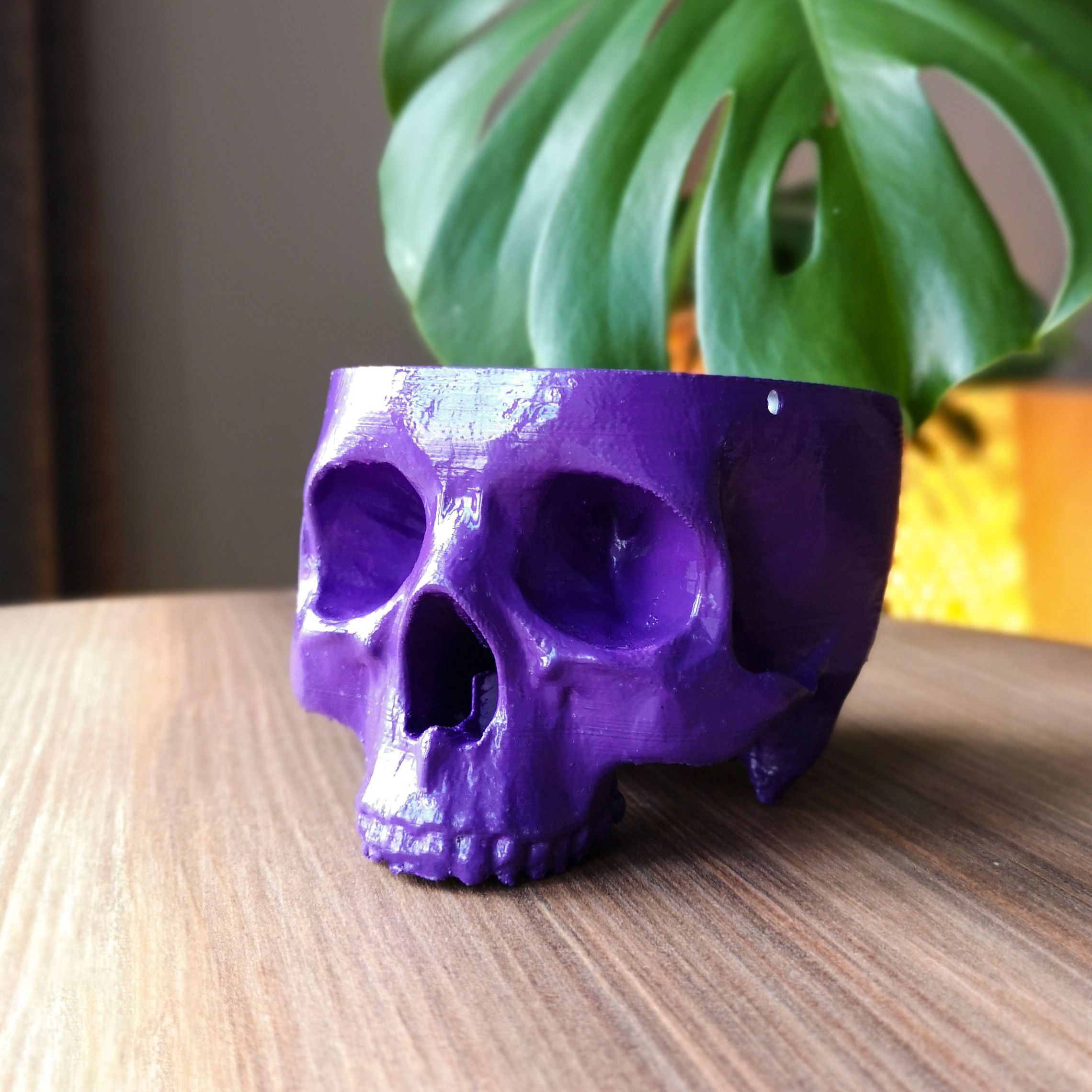 Kuru Kafa Saksı - Purple