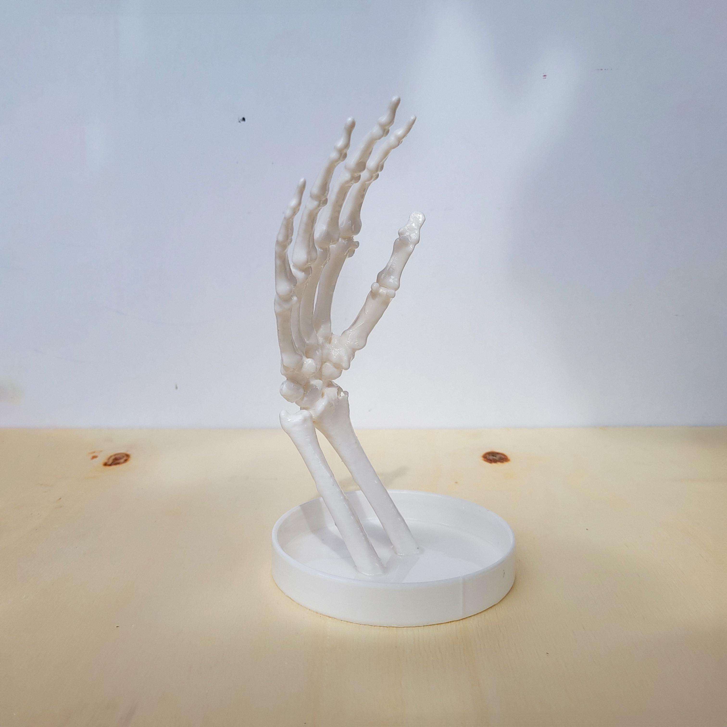 El İskeleti Takı Düzenleyici