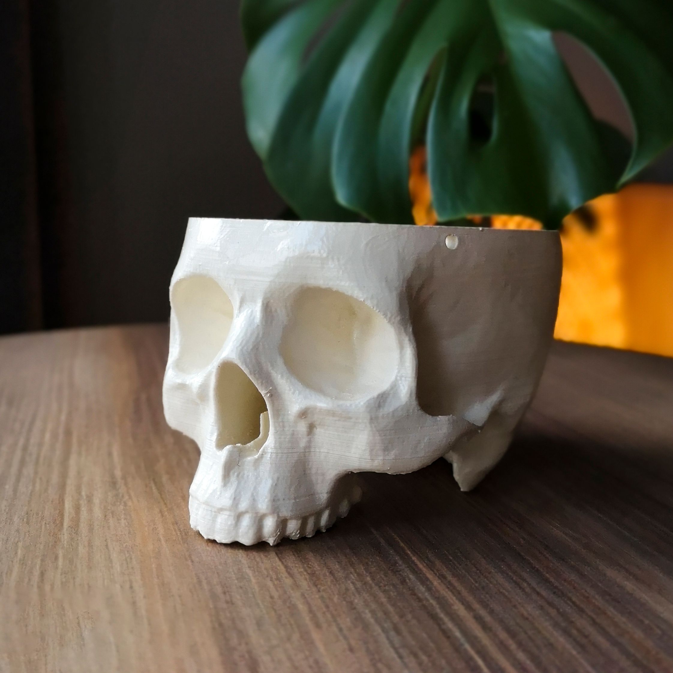 Kuru Kafa Saksı - Bone White