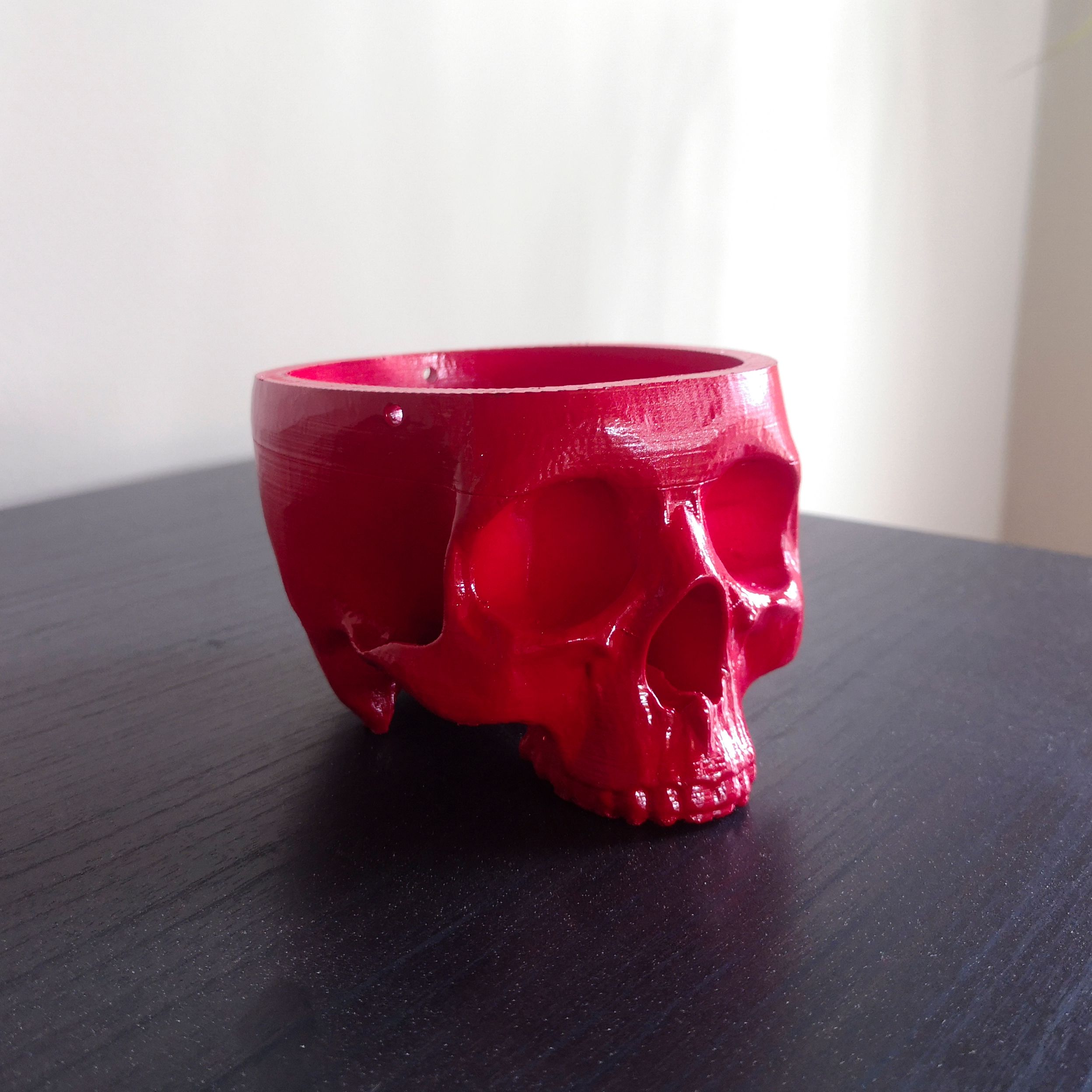 Kuru Kafa Saksı - Red