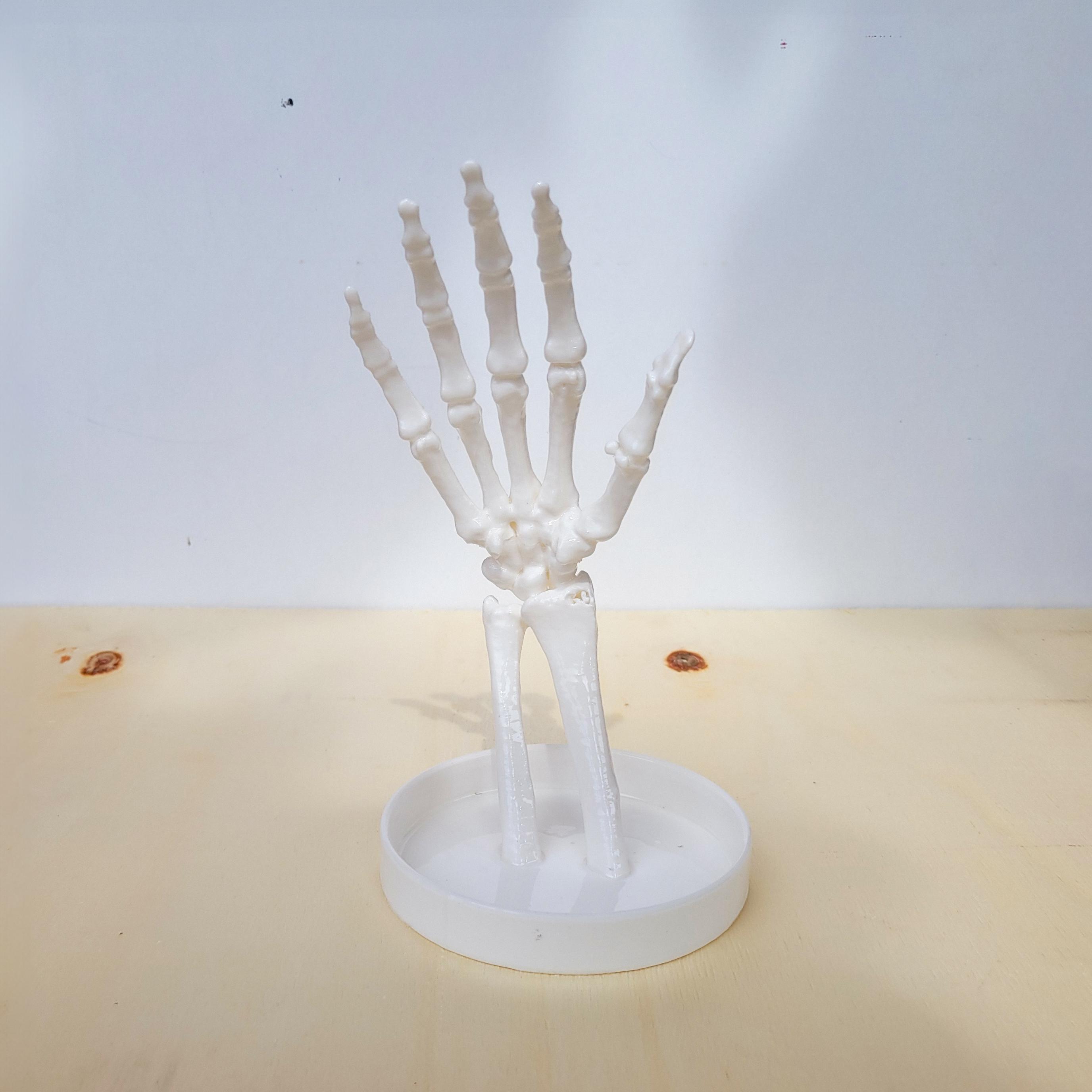 El İskeleti Takı Düzenleyici
