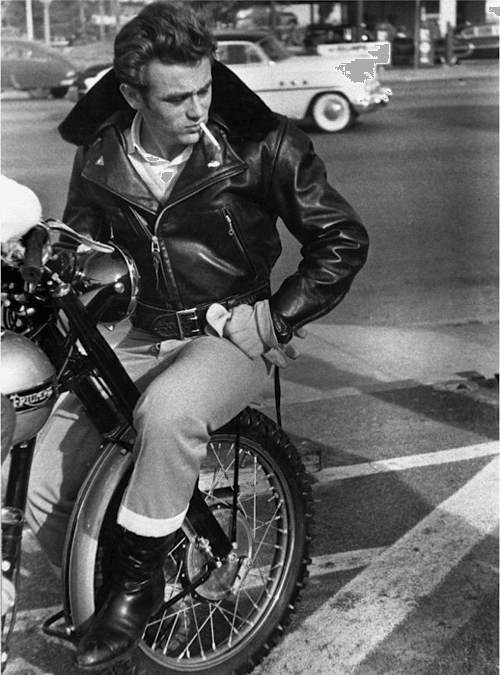 Rebel Without a Cause Leather Jacket