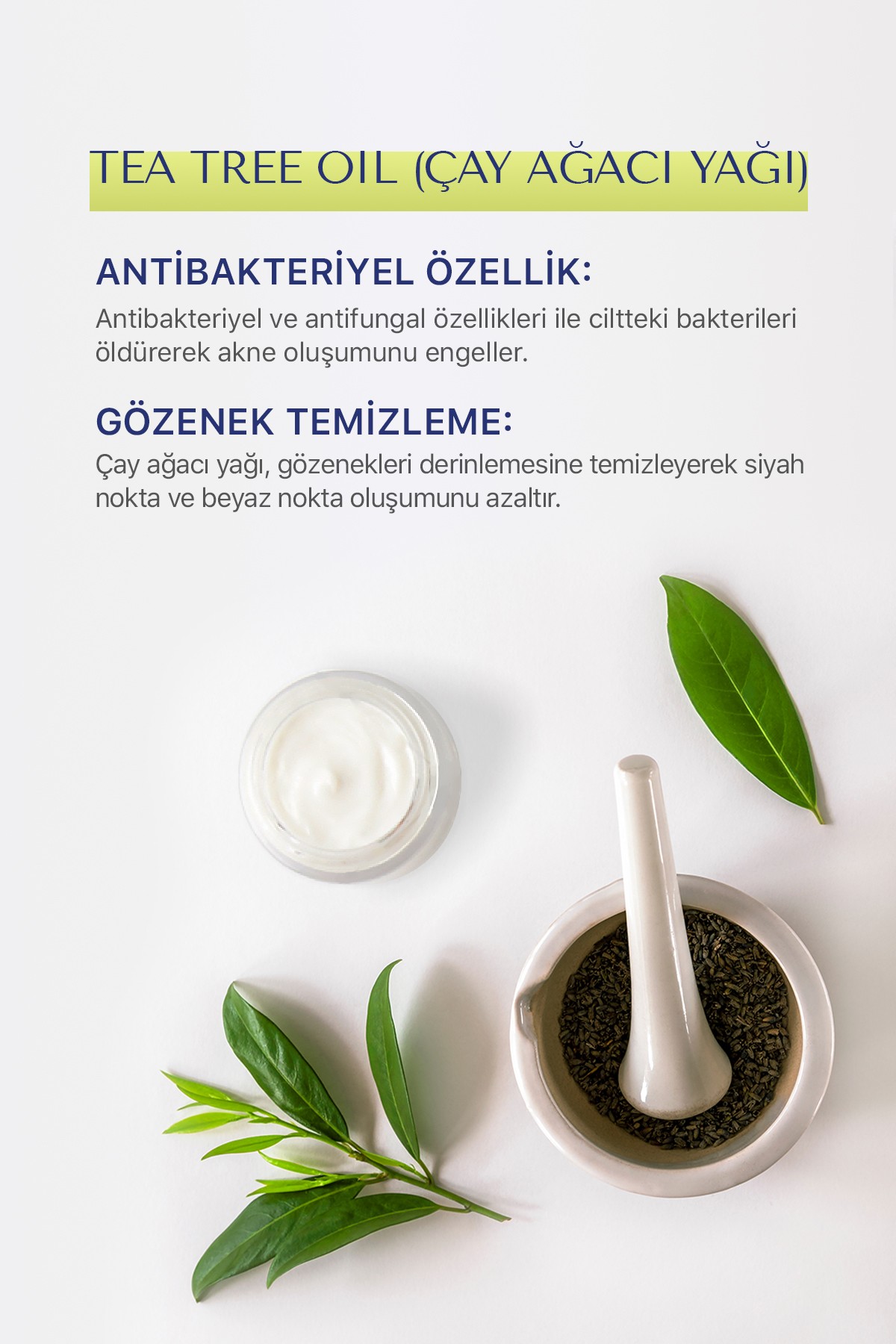 Akne Karşıtı Gözenek Sıkılaştırıcı Sebum Kontrol Yüz Kremi 50ml