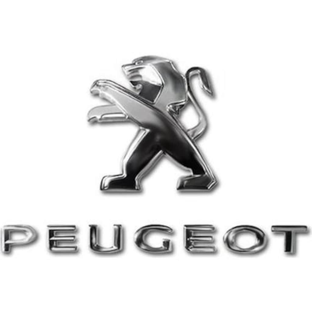 PEUGEOT  301  ASLAN ARMA ve PEUGEOT ve 301  YAZISI SETİ -3 LÜ