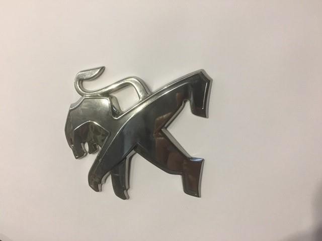 PEUGEOT 3008  BAGAJ KAPUT ASLAN ARMASI   98179002DX