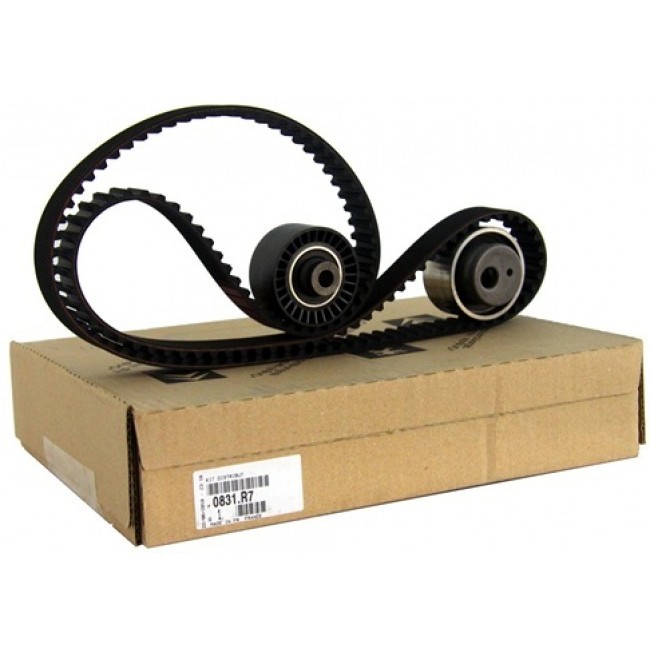 TRIGER SETI PEUGEOT (DV8+DV8B) PARTNER BERLİNGO 1.9D    0831.R7