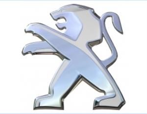 PEUGEOT 307 BAGAJ KAPUTU PEUGEOT-307-ASLAN ARMA  YAZI SETİ