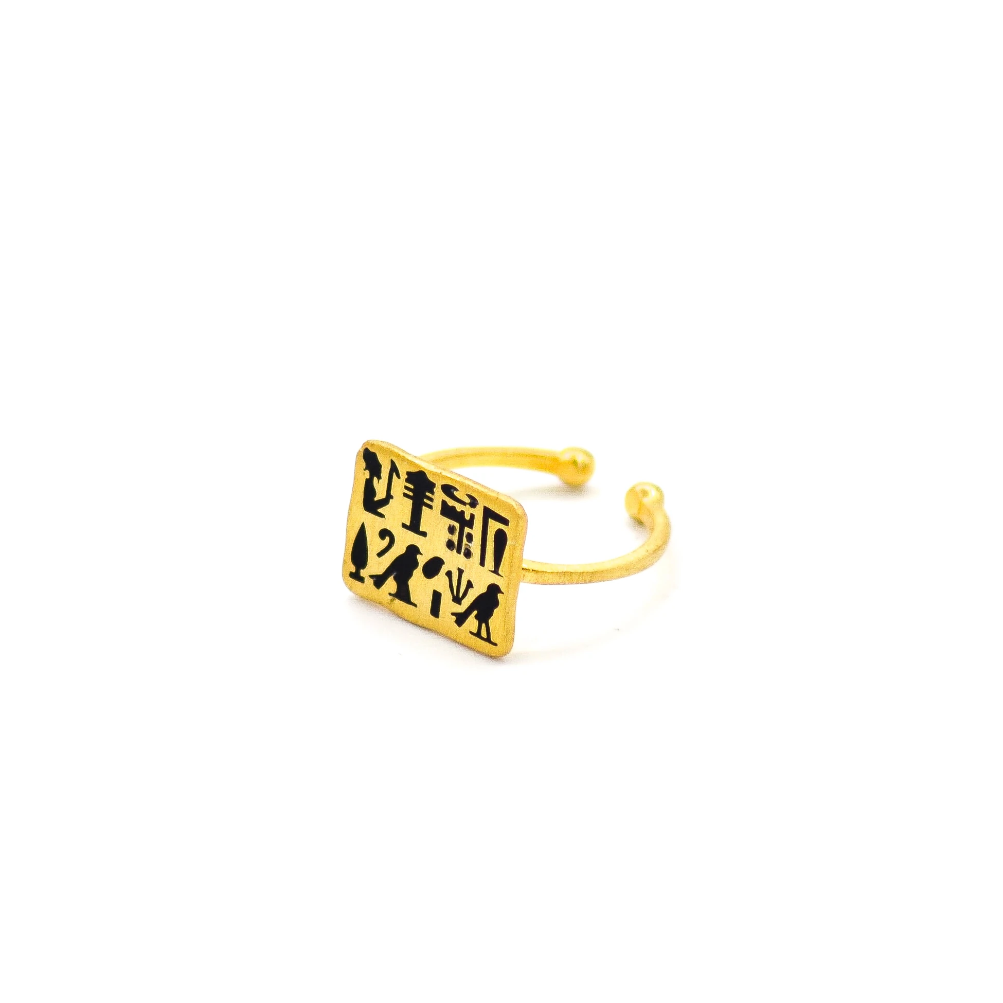 The Sign Ring