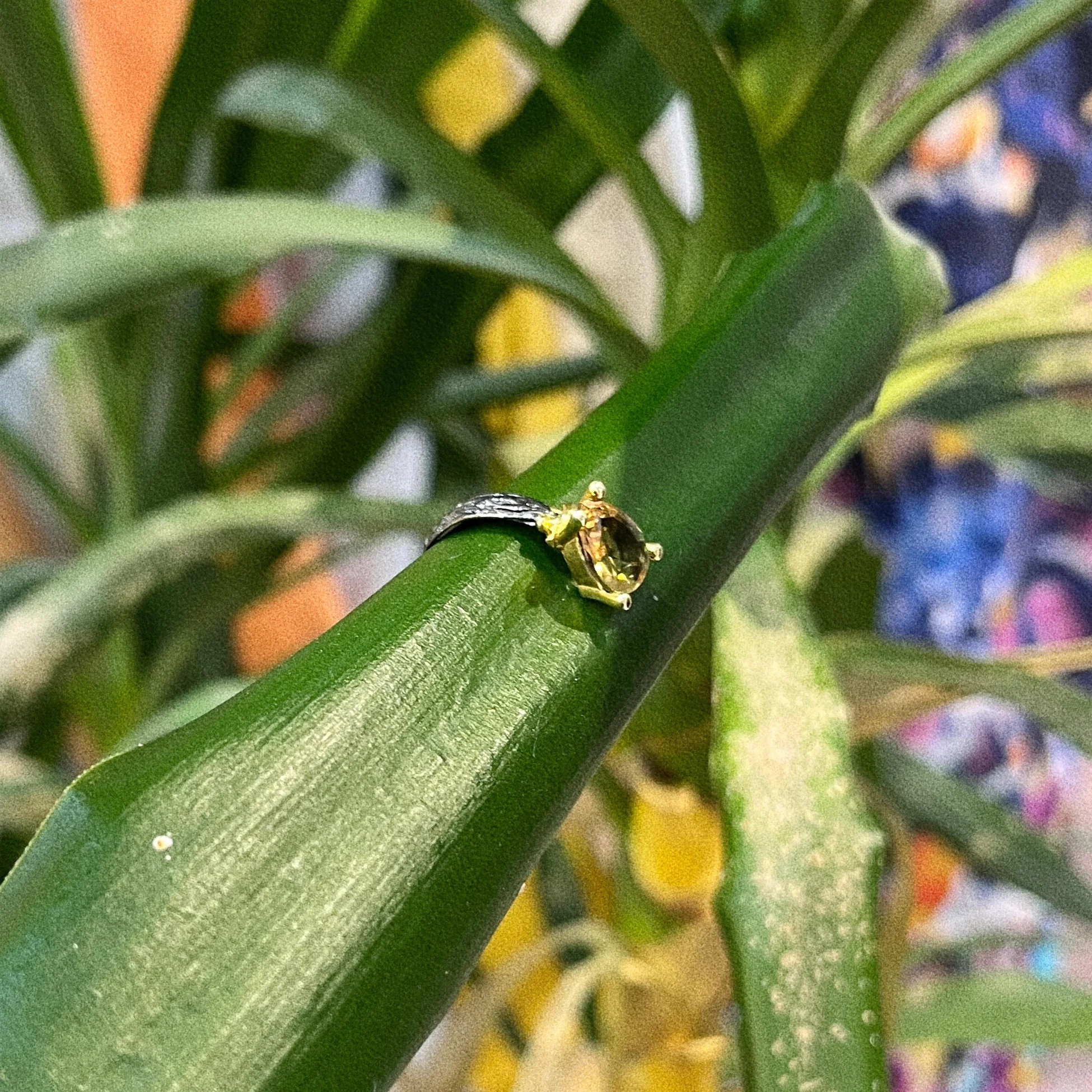 Sekìâ Ring 3