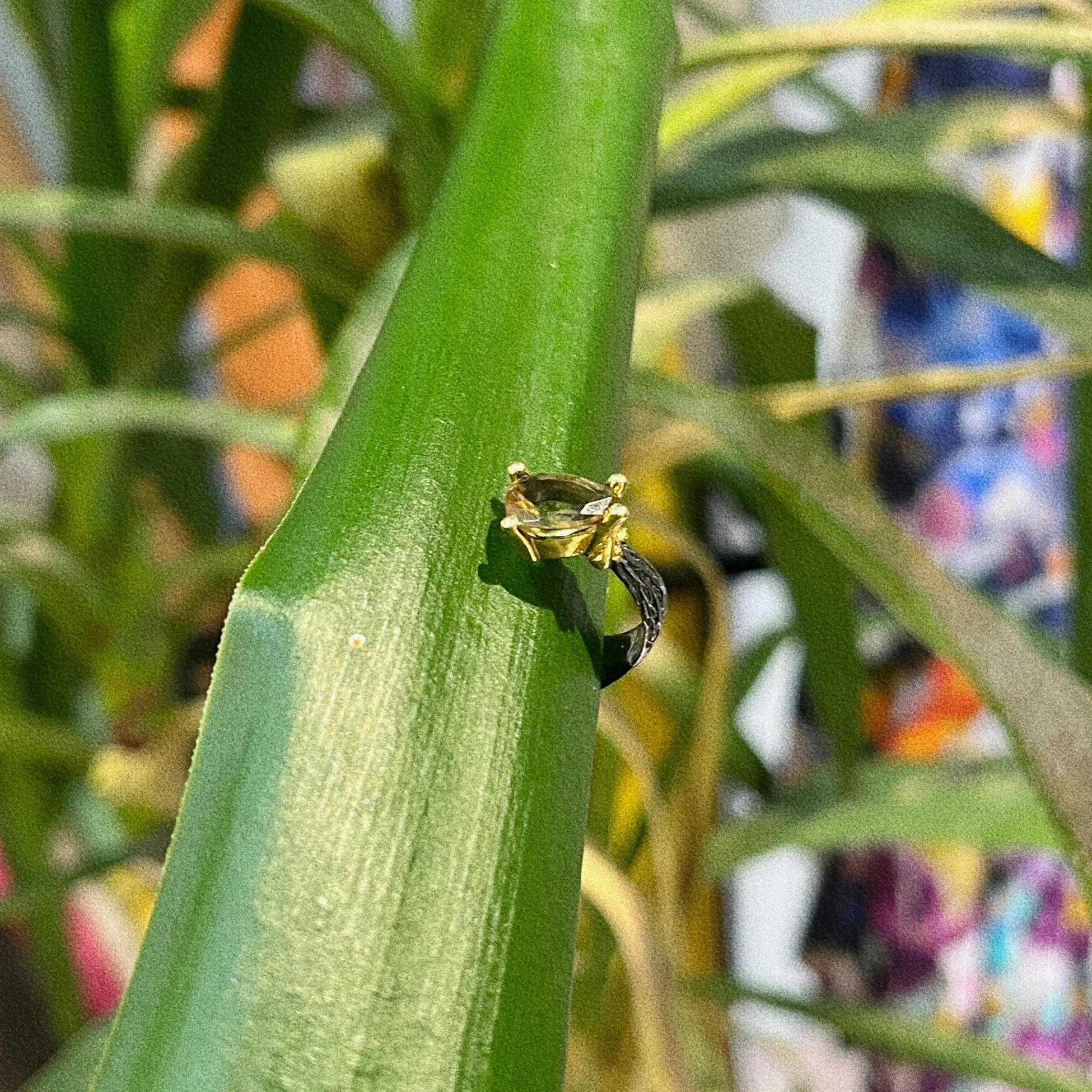 Sekìâ Ring 2