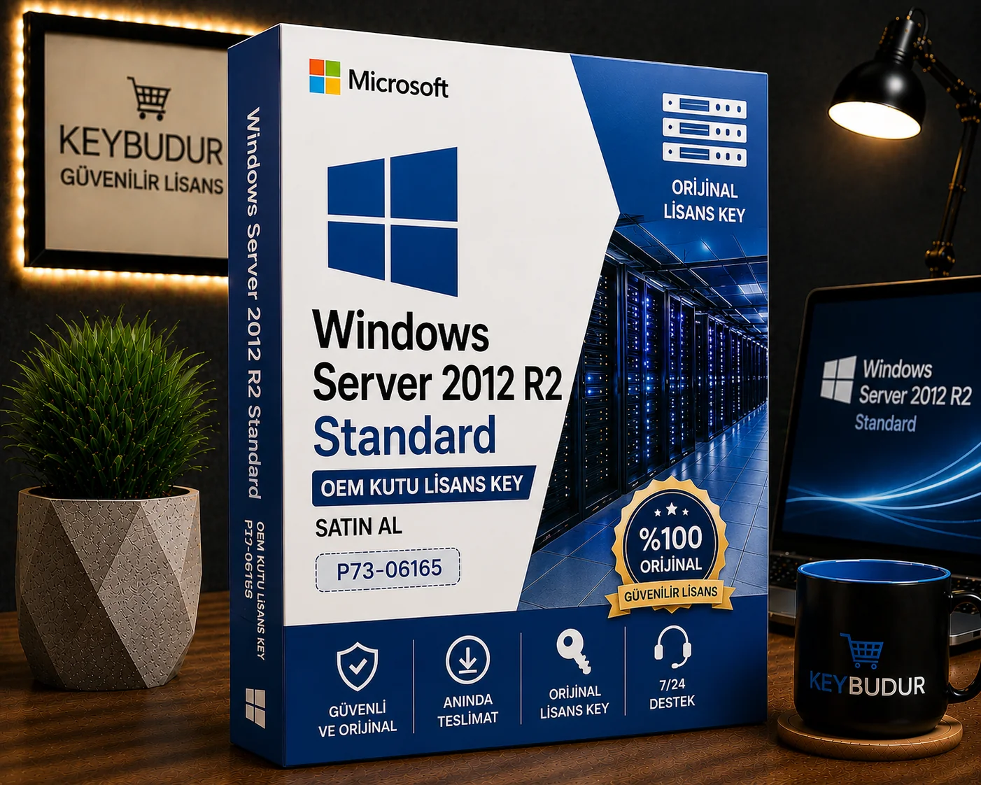 Windows Server 2012 R2 Standard OEM Kutu Lisans Key Satın Al | P73-06165
