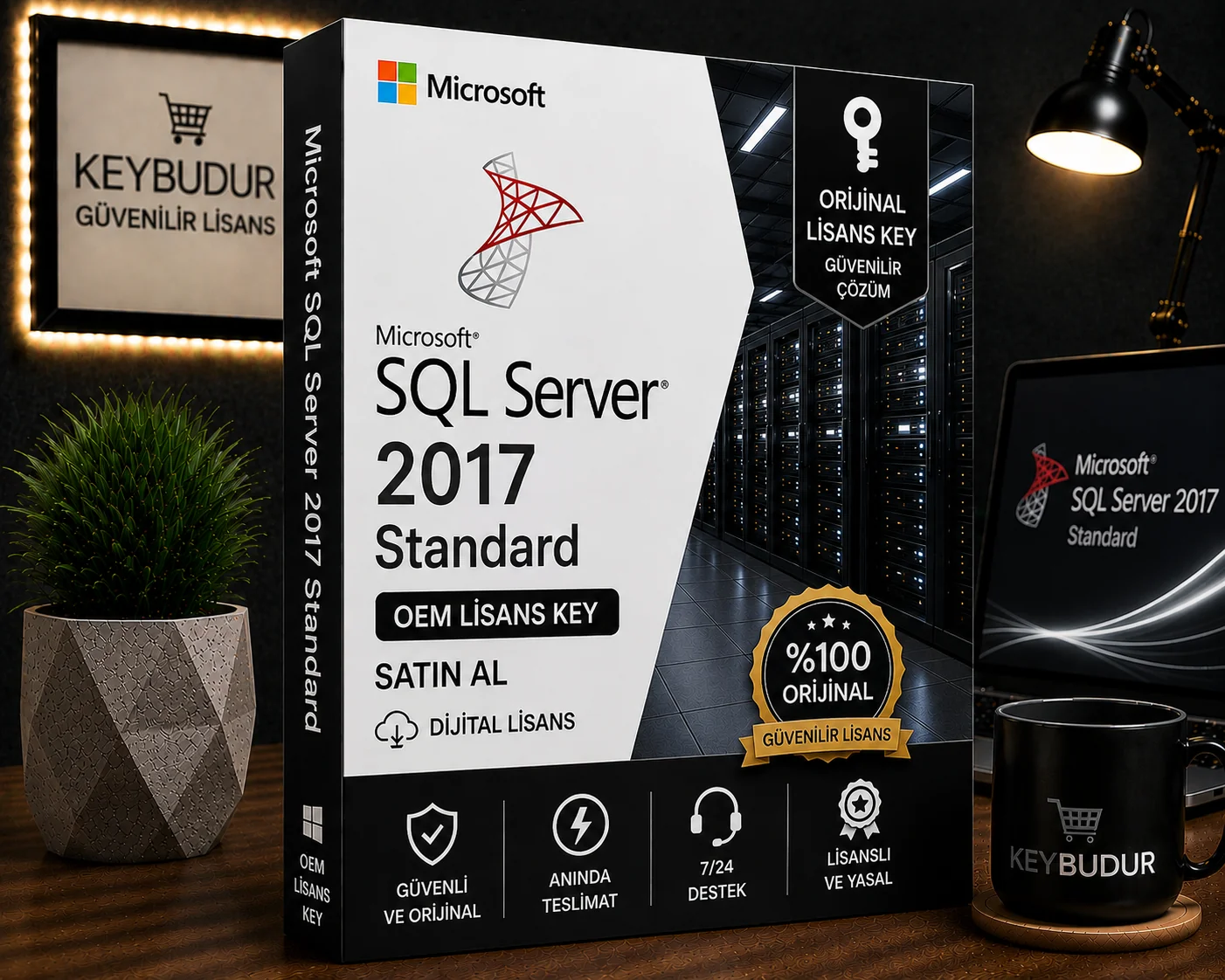 Microsoft SQL Server 2017 Standard OEM Lisans Key Satın Al