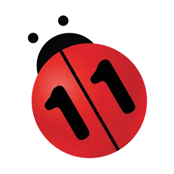 N11