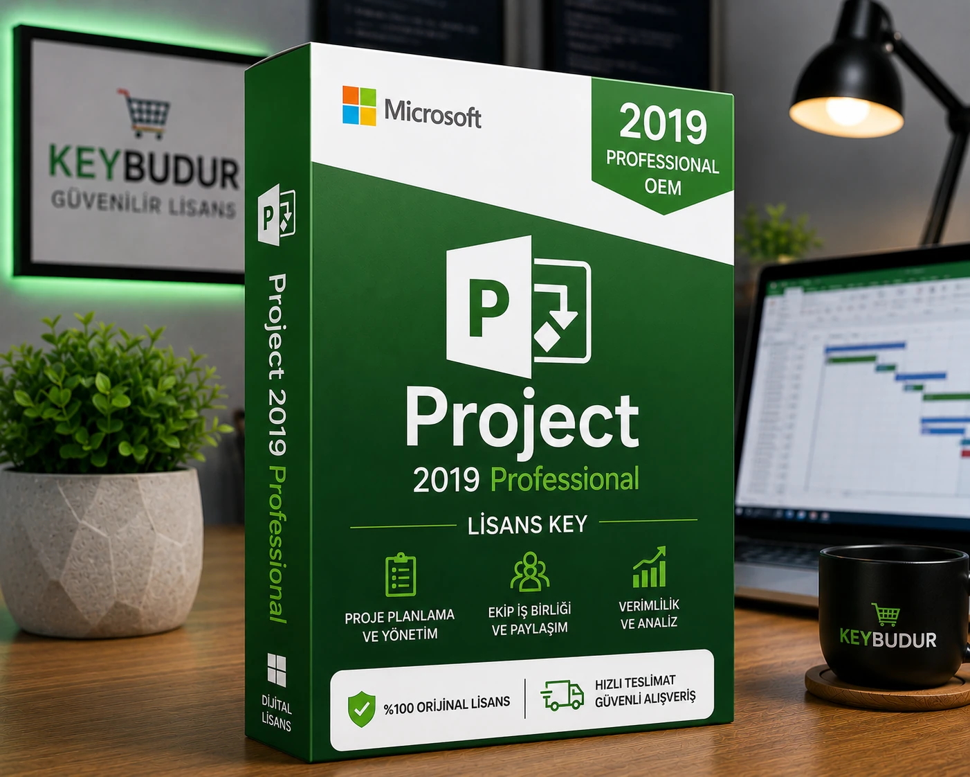 Microsoft Project 2019 Professional OEM Lisans Key Satın Al