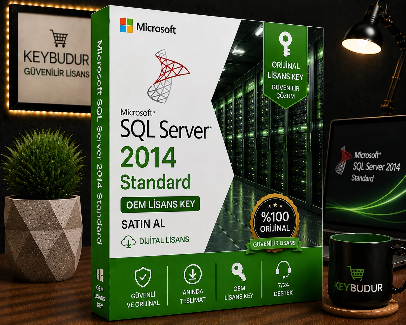Microsoft SQL Server 2014 Standard OEM Lisans Key Satın Al
