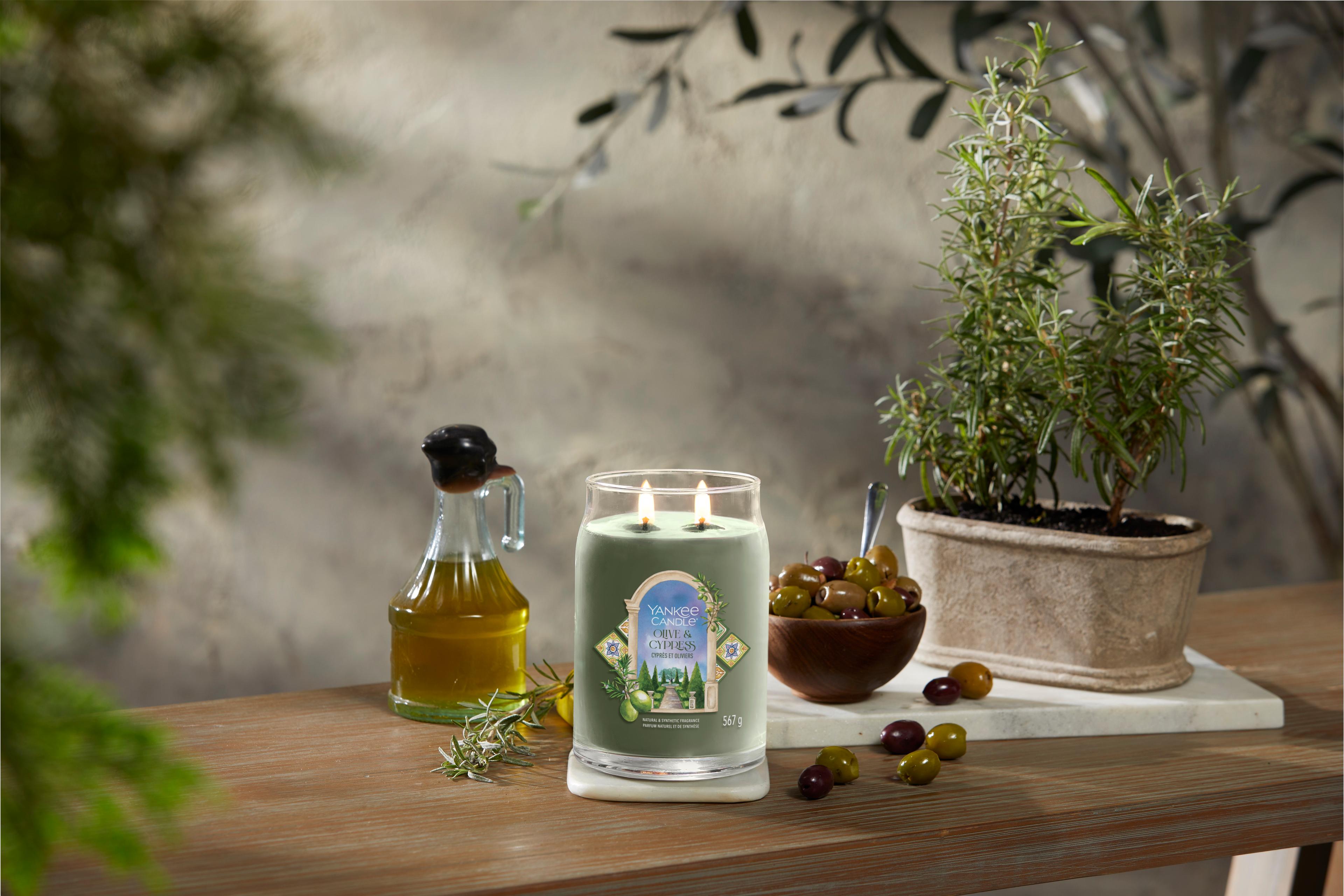 Olive & Cypress