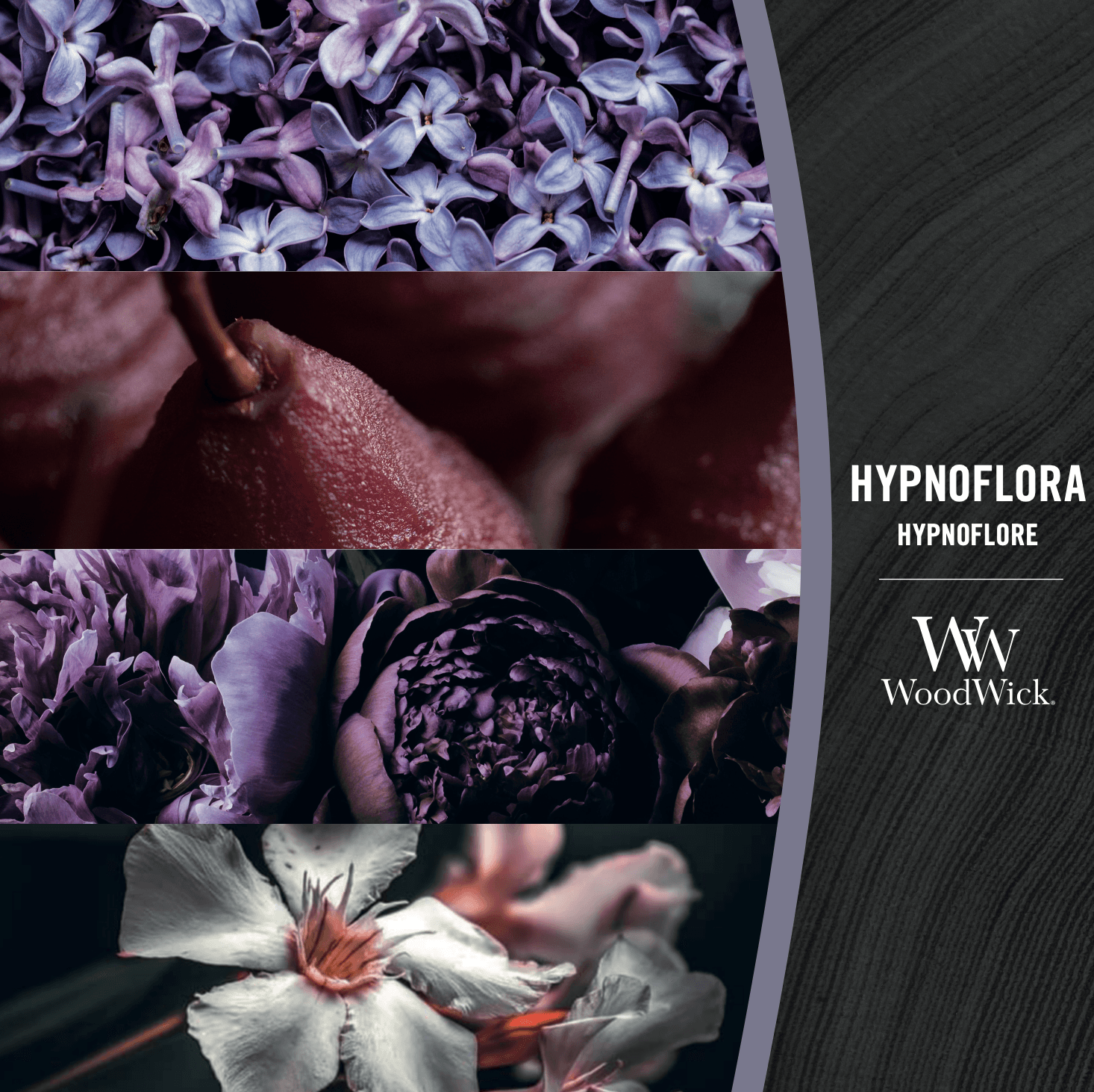 Hypnoflora