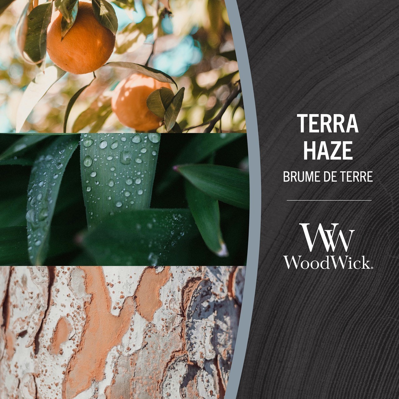 Terra Haze