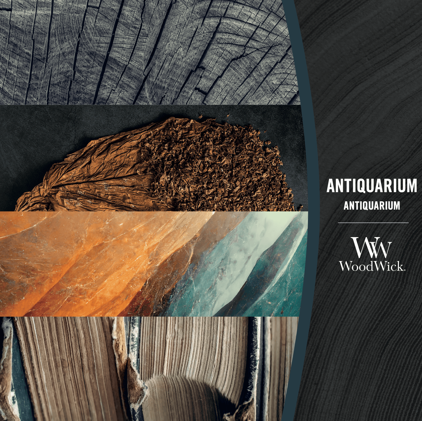 Antiquarium