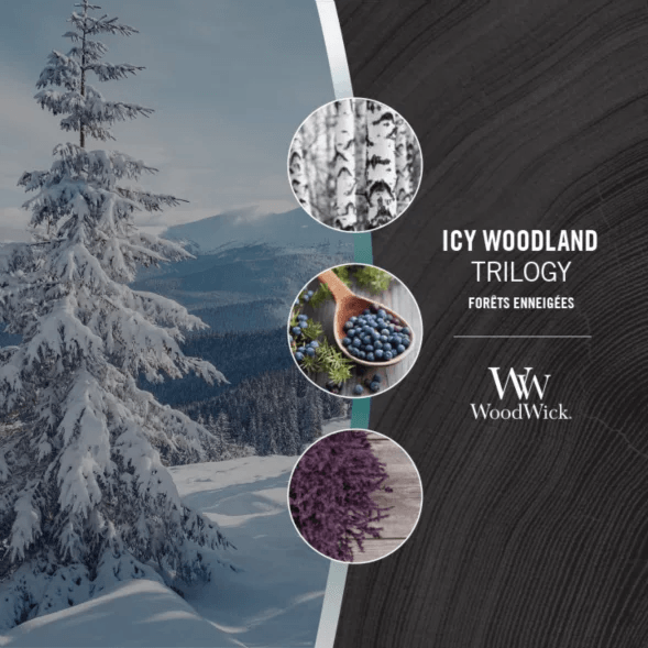 WoodWick | Icy Woodland
