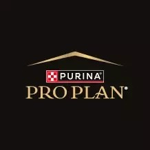 Pro Plan