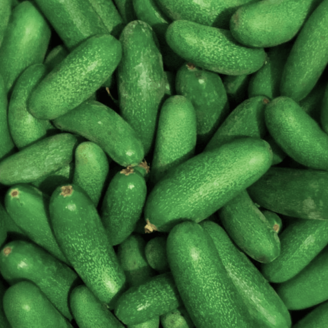 Bebek Avokado