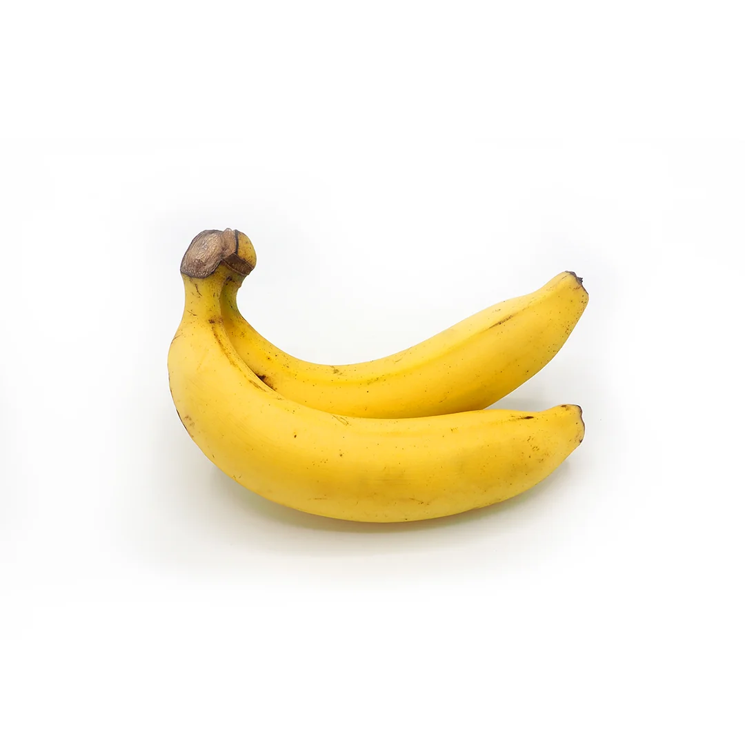 その他 MUZO 1-1.webp