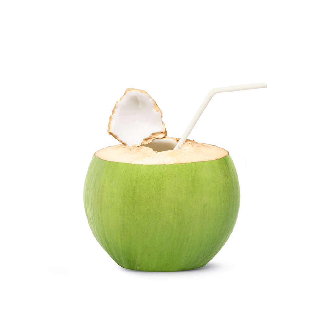 Coconut Suyu