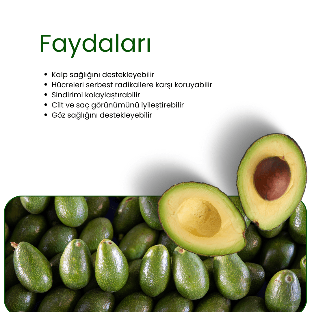Avokado