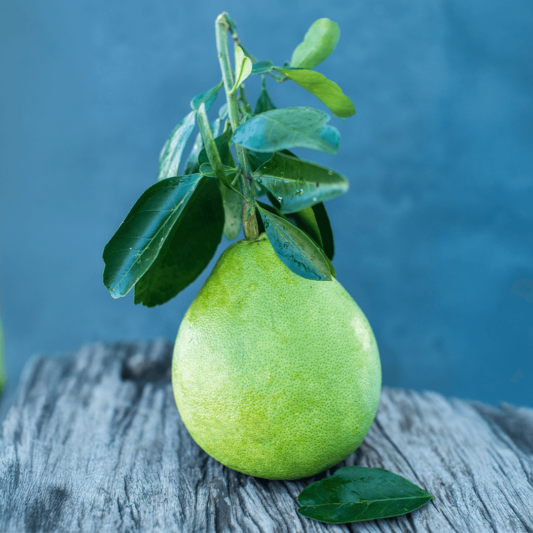 Şadok (Pomelo)